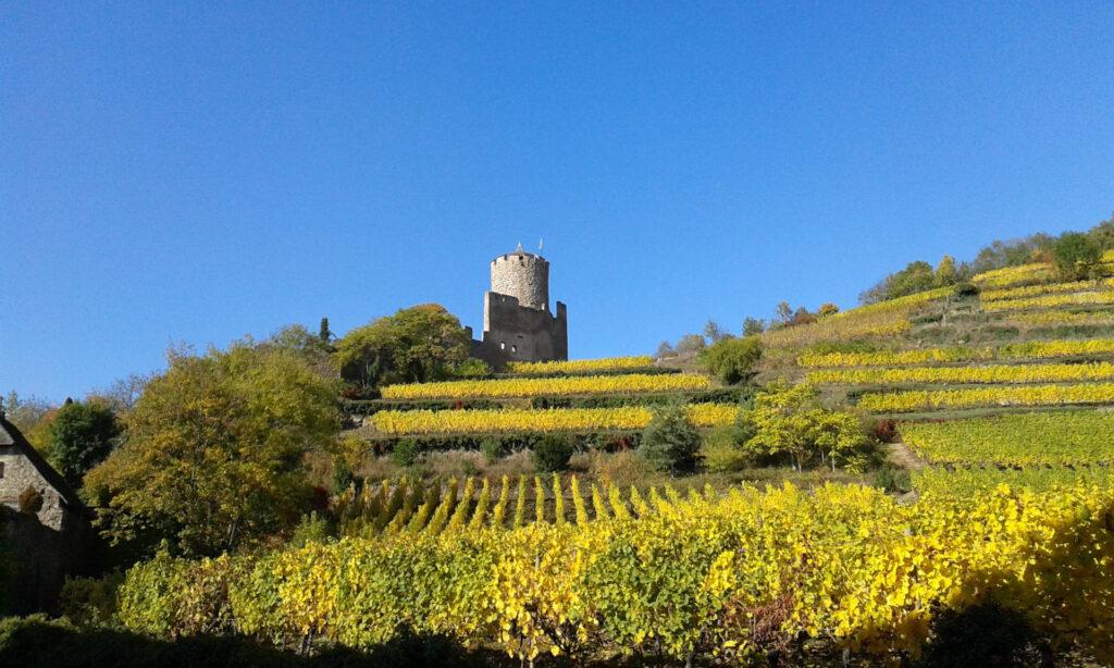 Le clocher de l'église Ste-Croix et le château de Kaysersberg dit Schlossberg