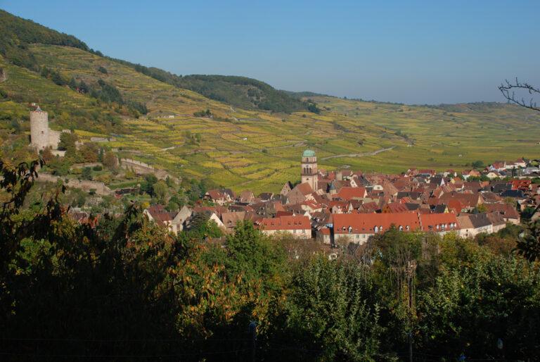 Vue de Kaysersberg Vignoble